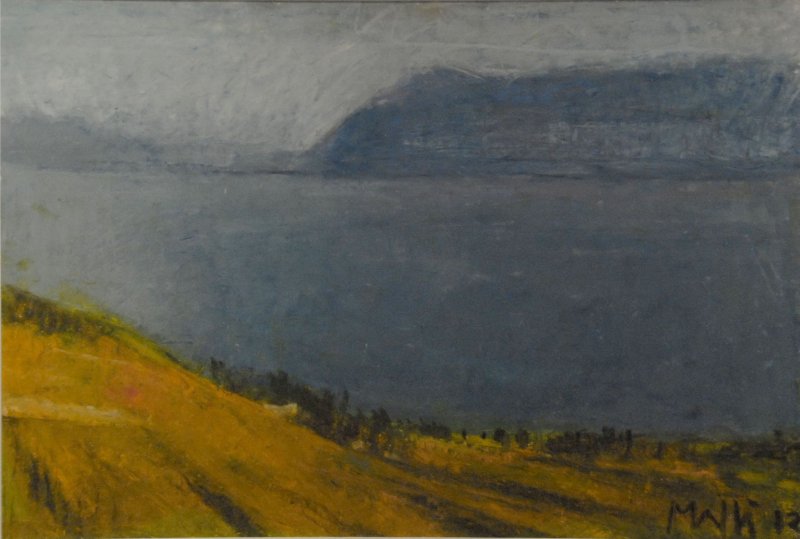 Lumière sur les vignes, Walter  Mafli