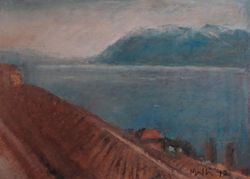 Automne sur Lavaux, Walter  Mafli