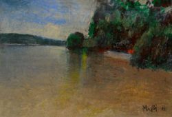 Transparence, Lac de Bret, Walter  Mafli