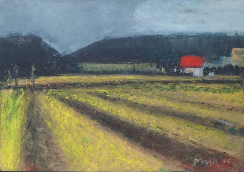 Le champ, Walter  Mafli